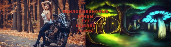 кокс Медвежьегорск