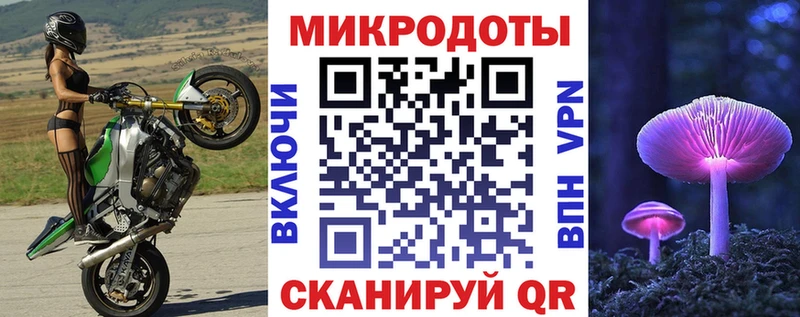 Псилоцибиновые грибы Psilocybine cubensis Ардатов